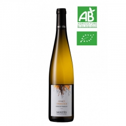 Gewurztraminer Steinberg BIO Moltès - 75cl